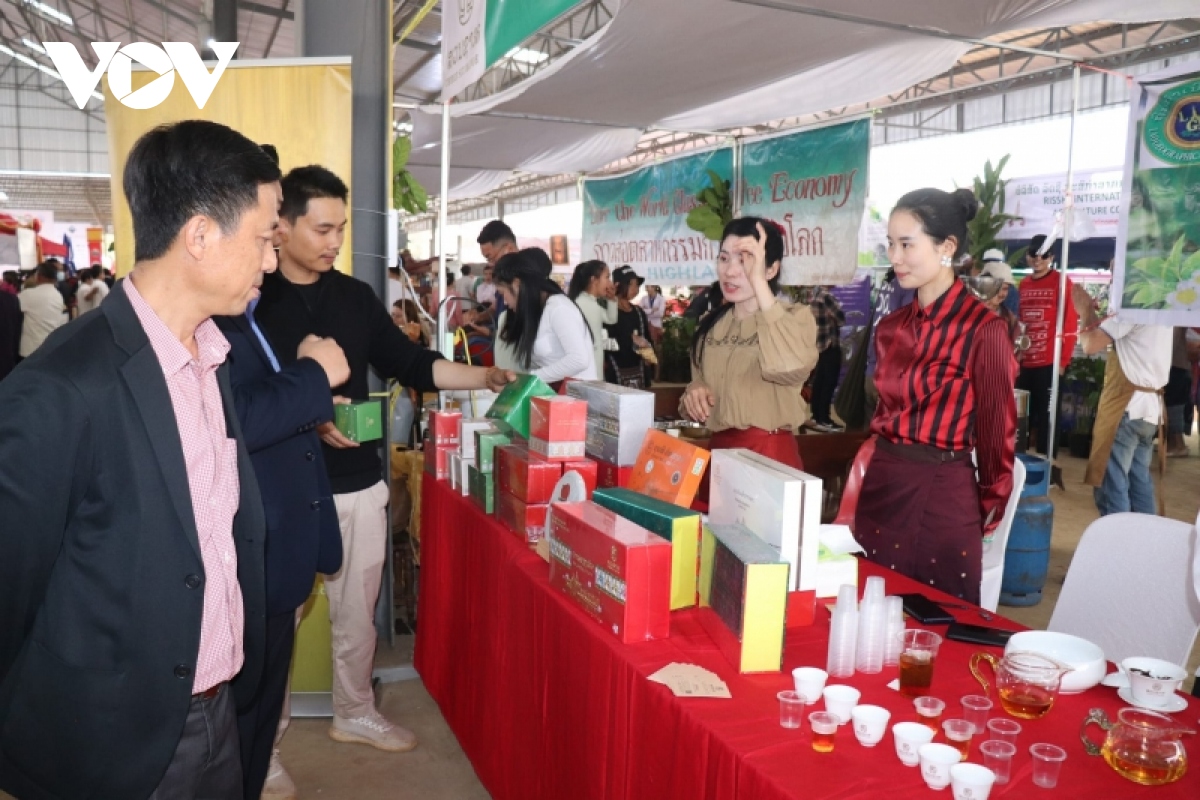 Doanh nghiệp cà phê Việt Nam tìm hiểu thị trường Lào
