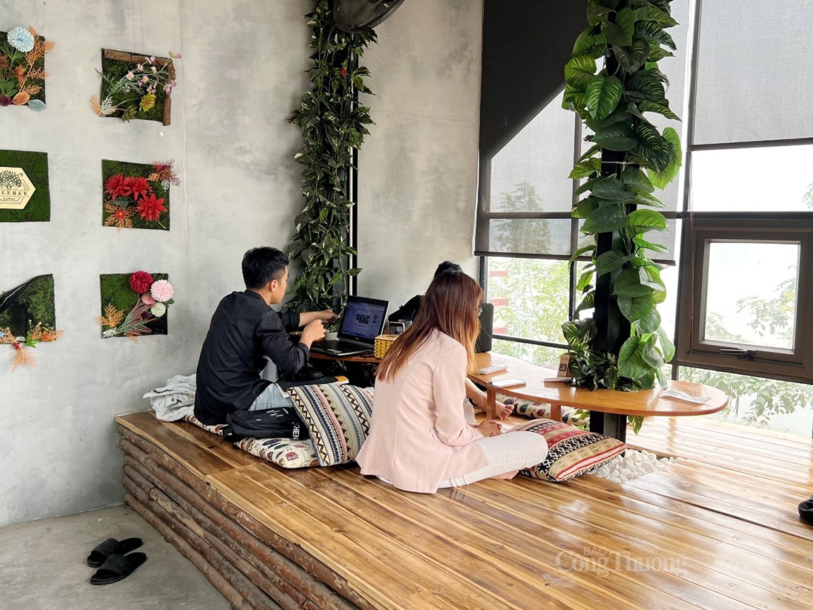 Quán cafe “tổ ong” tại Hà Nội: Hút khách bởi sự độc đáo