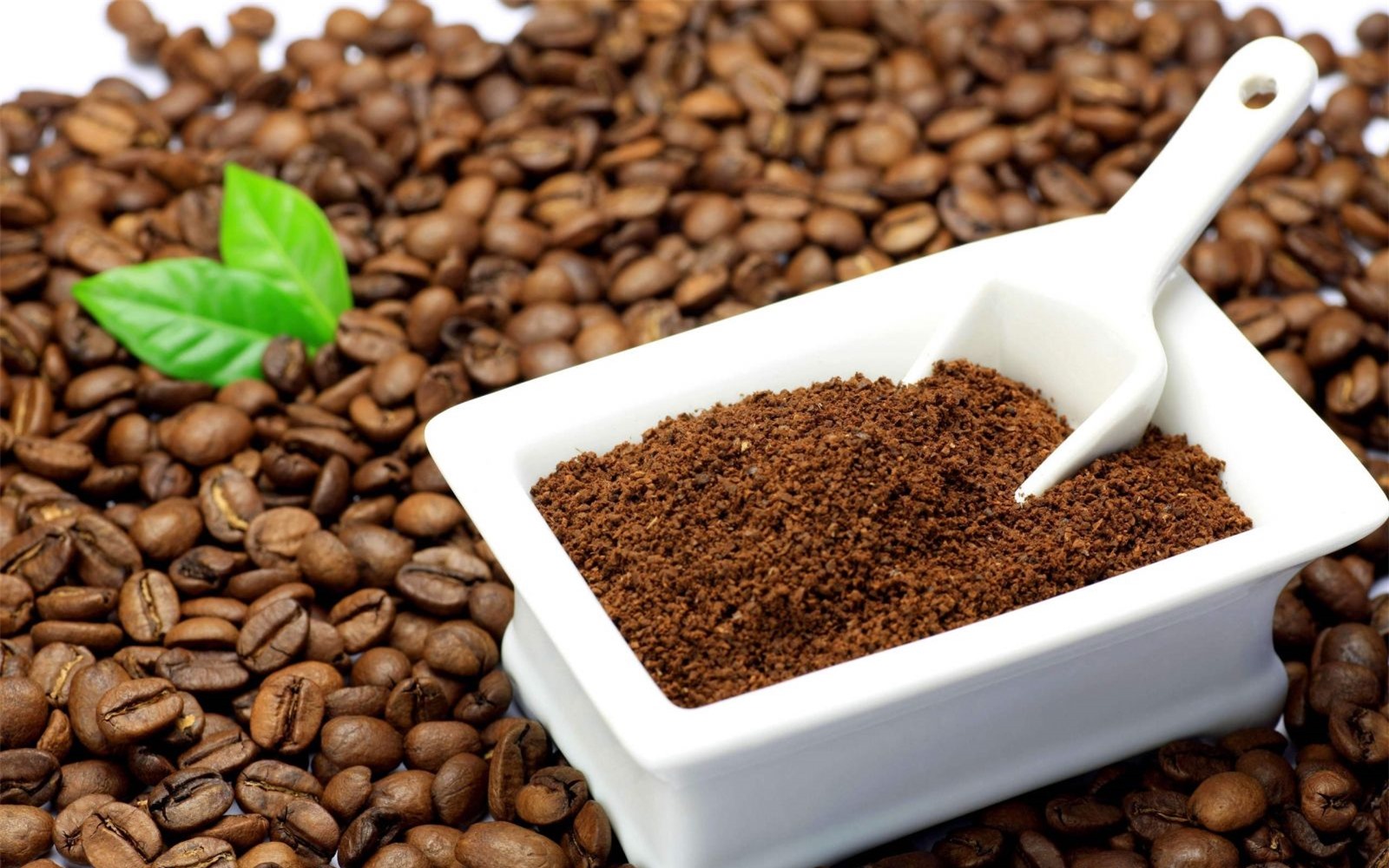 Bã cà phê với dưỡng chất chống oxi hóa dồi dào được sử dụng để làm trắng da hiệu quả tại nhà