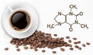 thành phần hóa học của cà phê